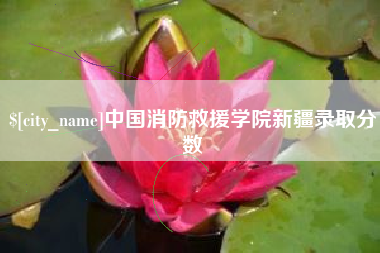 阜新中国消防救援学院新疆录取分数