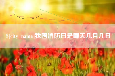 阜新我国消防日是哪天几月几日