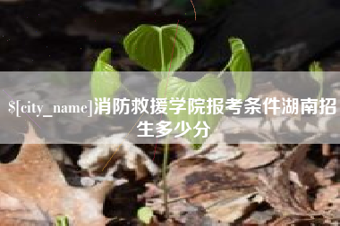 阜新消防救援学院报考条件湖南招生多少分