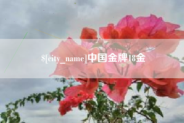 阜新中国金牌18金