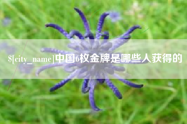 阜新中国6枚金牌是哪些人获得的