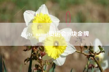 阜新奥运会39块金牌