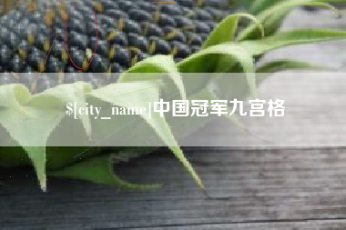 阜新中国冠军九宫格