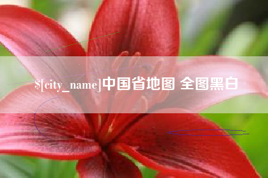 阜新中国省地图 全图黑白