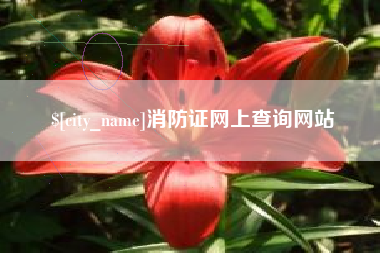 阜新消防证网上查询网站