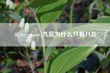 阜新九宫为什么只有八卦
