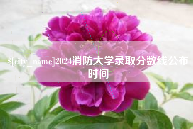 阜新2024消防大学录取分数线公布时间