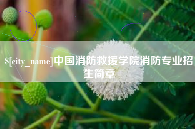 阜新中国消防救援学院消防专业招生简章