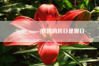 阜新我国消防日是哪日