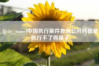 阜新中国执行案件查询公开网都是执行不了得案子