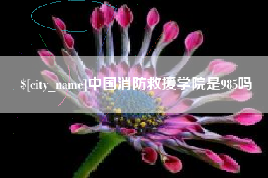 阜新中国消防救援学院是985吗