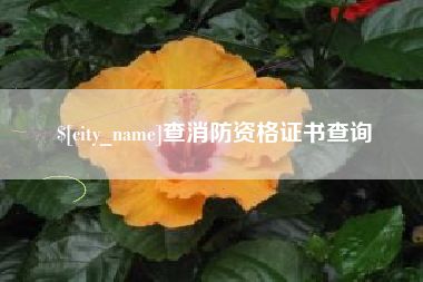 阜新查消防资格证书查询