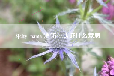 阜新消防ccc认证什么意思