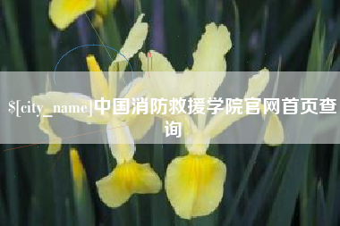 阜新中国消防救援学院官网首页查询