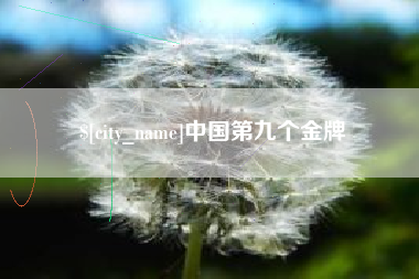 阜新中国第九个金牌