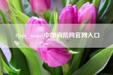 阜新中国消防网官网入口