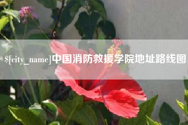 阜新中国消防救援学院地址路线图