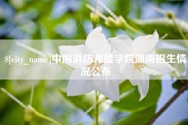 阜新中国消防救援学院湖南招生情况公布