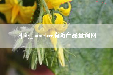 阜新ccc消防产品查询网