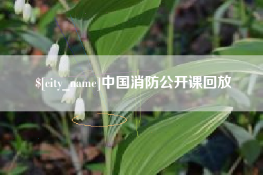 阜新中国消防公开课回放