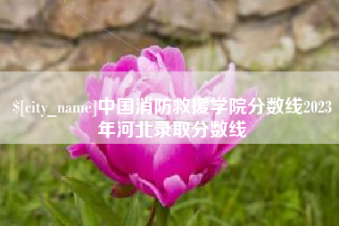 阜新中国消防救援学院分数线2023年河北录取分数线