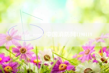 阜新中国消防网1190119