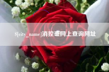 阜新消控证网上查询网址