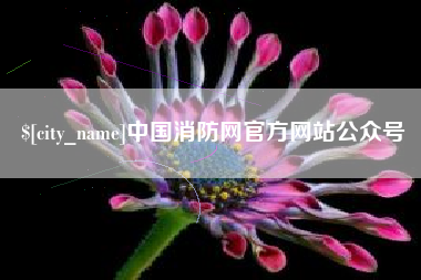 阜新中国消防网官方网站公众号
