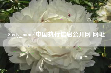 阜新中国执行信息公开网 网址