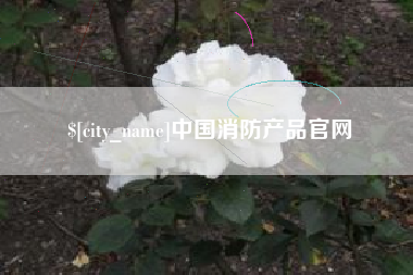 阜新中国消防产品官网