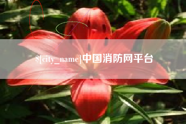 阜新中国消防网平台