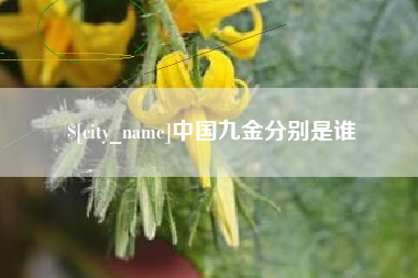 阜新中国九金分别是谁