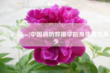 阜新中国消防救援学院身体要求多少