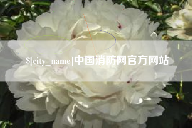 阜新中国消防网官方网站