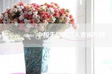 阜新中国失信执行人查询官网