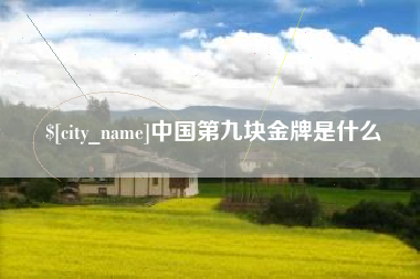 阜新中国第九块金牌是什么