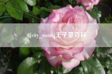 阜新王子豪百科