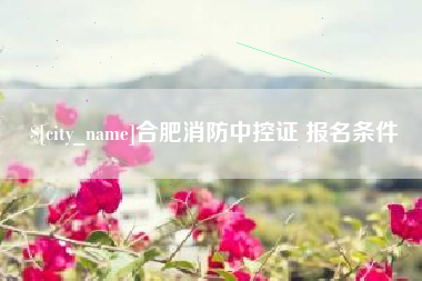 阜新合肥消防中控证 报名条件
