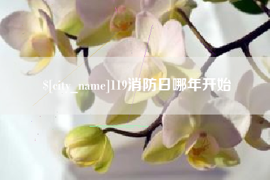 阜新119消防日哪年开始
