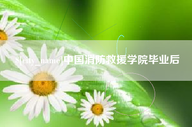 阜新中国消防救援学院毕业后