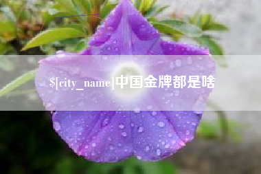 阜新中国金牌都是啥
