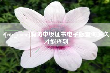 阜新消防中级证书电子版查询多久才能查到