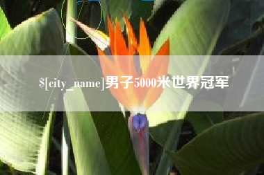 阜新男子5000米世界冠军