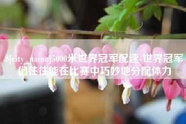 阜新5000米世界冠军配速-世界冠军们往往能在比赛中巧妙地分配体力