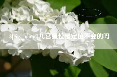 阜新九宫星位是定位不变的吗