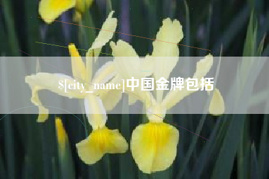 阜新中国金牌包括