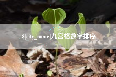 阜新九宫格数字排序
