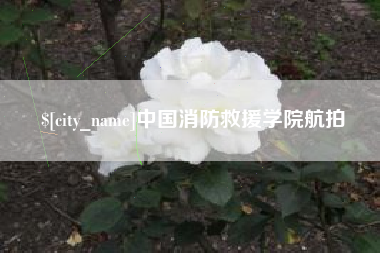 阜新中国消防救援学院航拍