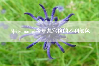 阜新今年九宫格的不利颜色