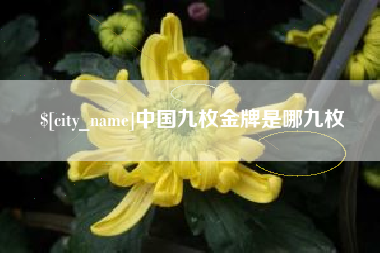 阜新中国九枚金牌是哪九枚